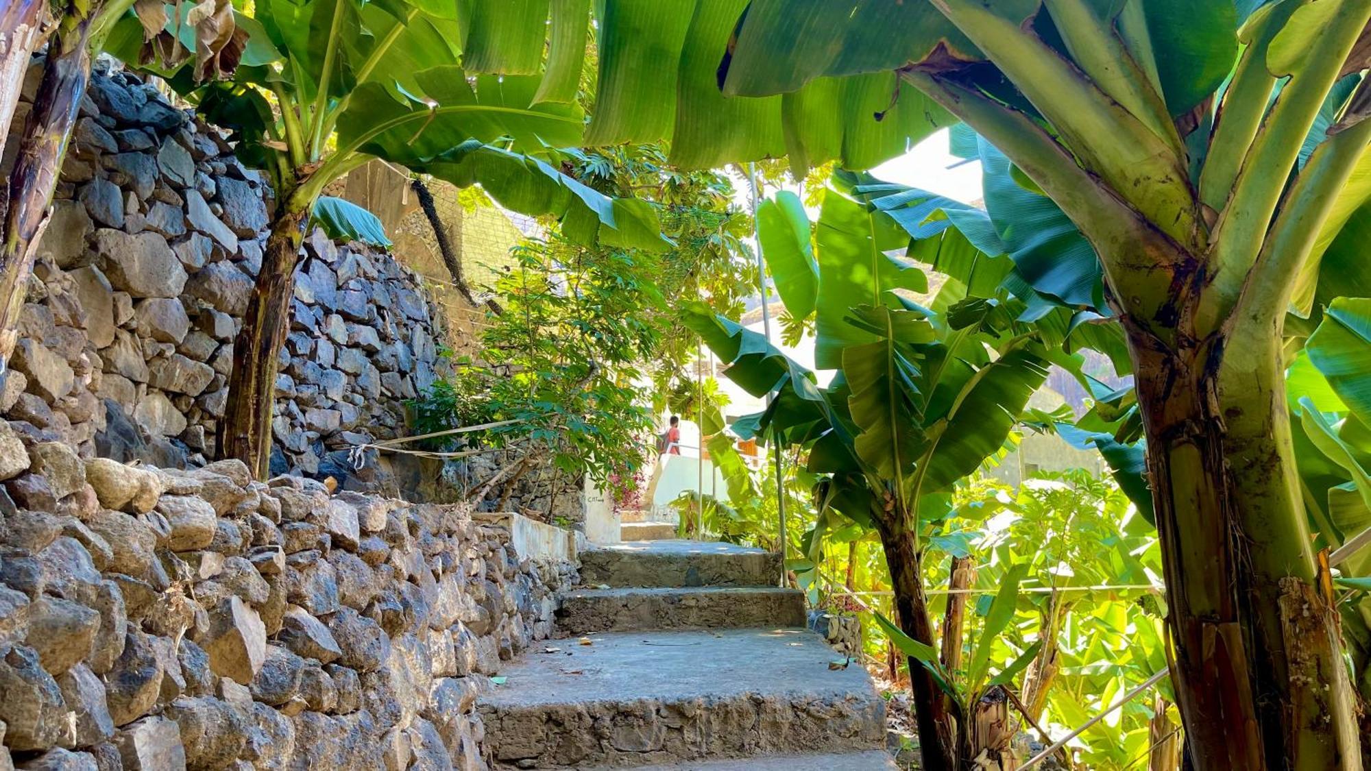 Casa Minga & Tatol Villa Ribeira Grande Luaran gambar